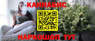 индика Заводоуковск